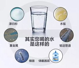 茂名市農村地區水質檢測指南 守護飲水安全，了解專業檢測單位